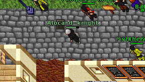 Alocard-knight on screen