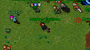 Muster Eclinox on screen