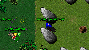 Young Worrior on screen