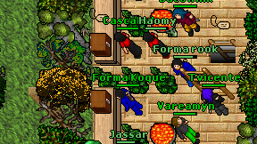 Forma Koque on screen
