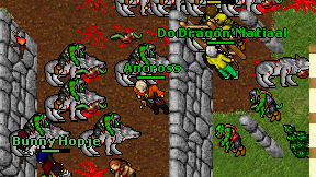 Ancross on screen