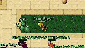 Pron Enya on screen