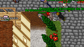 Ardenius Maximus on screen