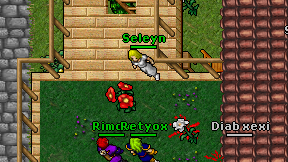Seleyn on screen