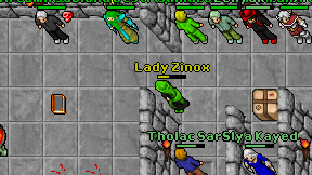Lady Zinox on screen