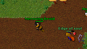 Meroving Druid on screen