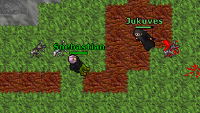 Snebastian on screen