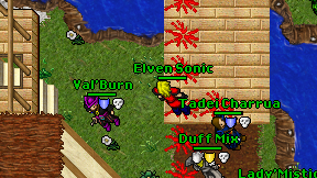 Elven Sonic on screen