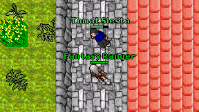 Fantasy Ranger on screen