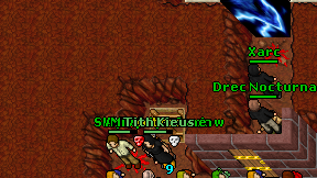 Skiprosko'shadow on screen