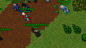Langostinita on screen