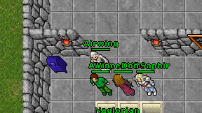 Airwing on screen