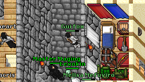 Gui fox on screen