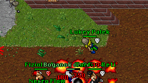 Lukey Palek on screen