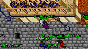 Druid Lasu on screen