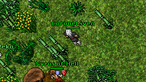 Coronel Sven on screen