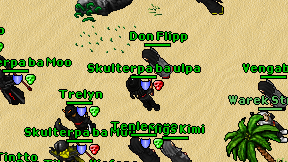 Don Flipp on screen