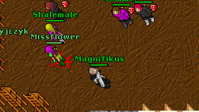 Magnifikus on screen