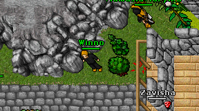 Winno on screen
