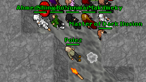 Polez on screen
