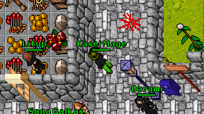 Kasei Mage on screen