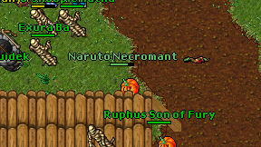 Naruto Necromant on screen