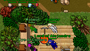 Xanver on screen