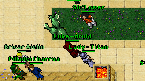 Luke-druid on screen