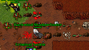 Darkwind Shadowfinder on screen