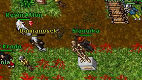 Sianoika on screen