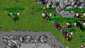 Kascamo on screen