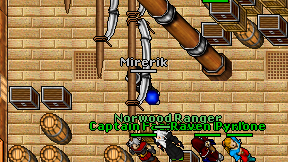 Mirerik on screen