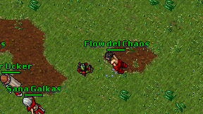 Flow del Chaos on screen