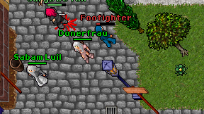 Donerfrau on screen