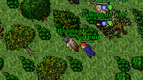 Doonaat on screen