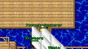 Psemek-Sorcerer on screen