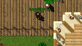 Lagriimitas on screen