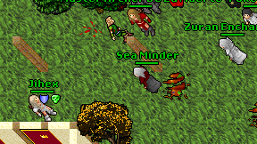 Sea Minder on screen