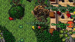 Lady Anita on screen