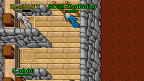 Skull-Palladyn on screen