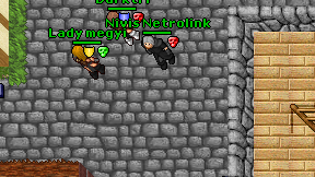 Nivis Netrolink on screen