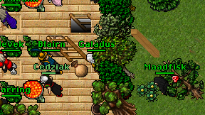 Chlevek on screen