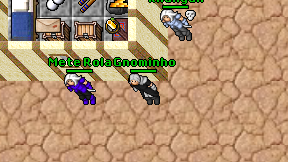 Gnominho on screen