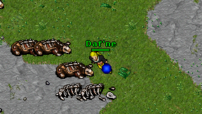 Daf'ne on screen