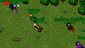 Hickaz on screen