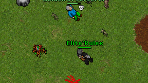 Elite'Rulex on screen