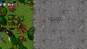 Niepije on screen