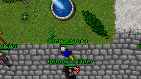 Chris Araora on screen