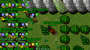 Biel Moon on screen