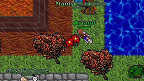 Borxinha on screen
